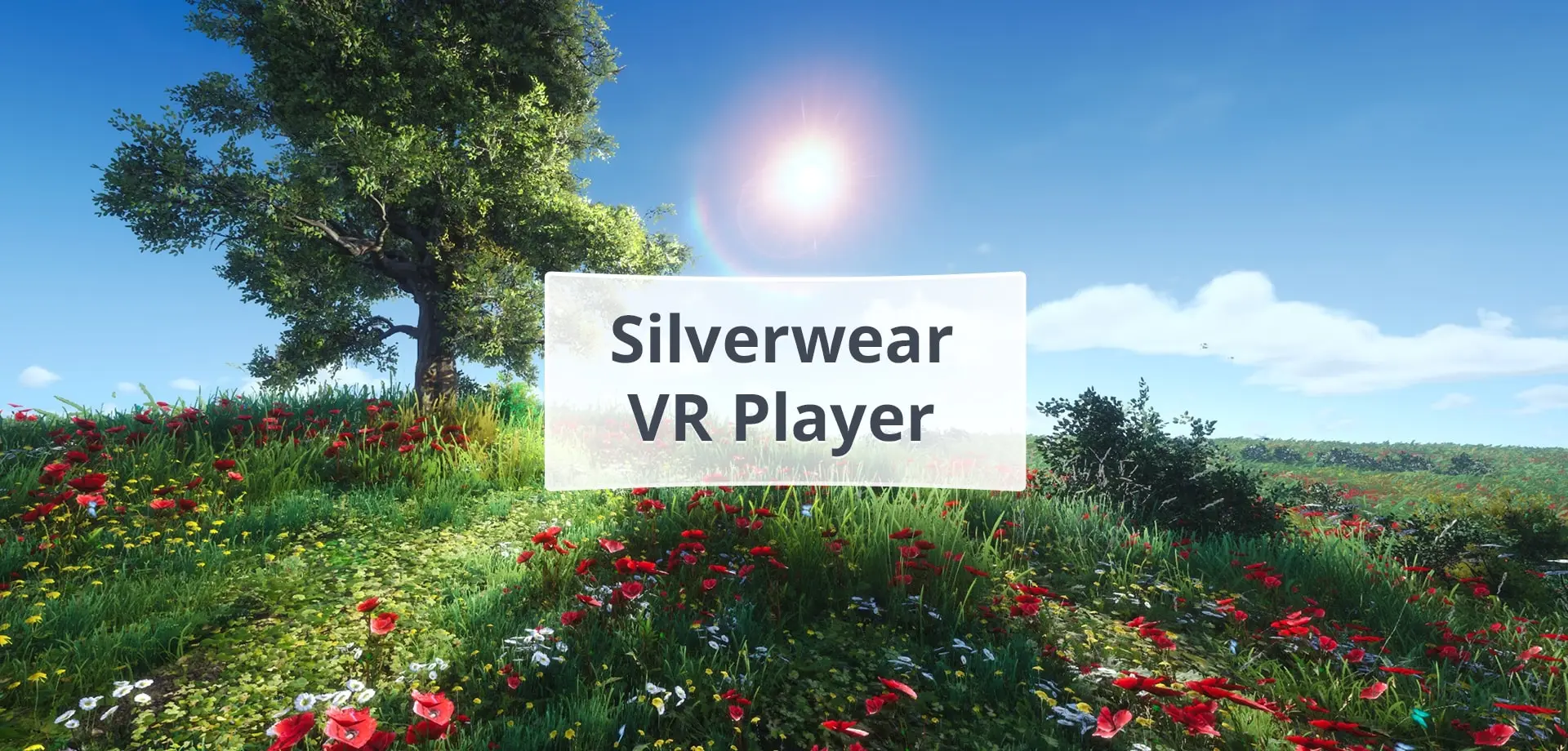 SILVERWEAR VR: MEDIA SERVICE FOR STEREOSCOPIC VIDEOS